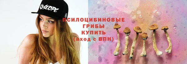 стаф Алексеевка