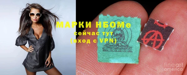 крисы Алзамай